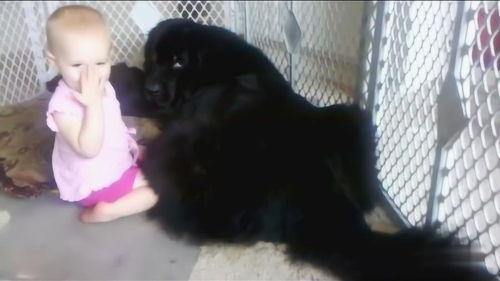 宝宝变成人的瞬间视频,宝宝诞生的瞬间,生命跃然画面