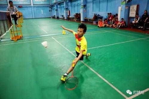 成人基础体能教学视频,打造健康体魄的入门指南