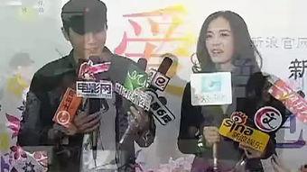 成人激视频小说,成人激视频小说的奇幻旅程