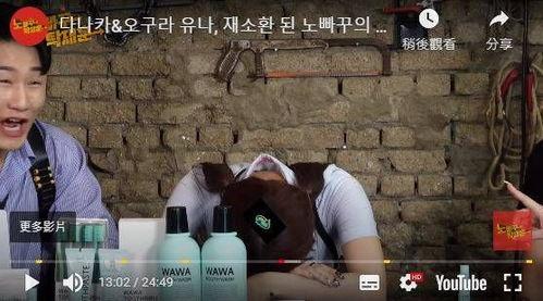 成人节目视频在线观看