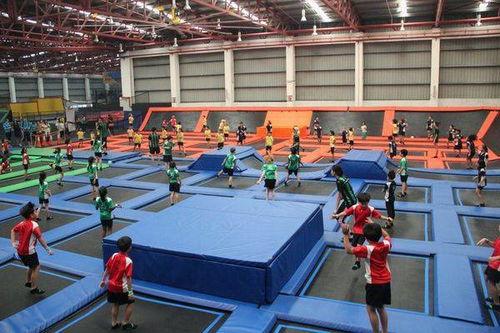 成人家庭蹦床测评视频,体验与性能全面解析