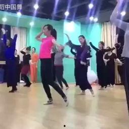 舞蹈集训成人免费视频,轻松入门，舞动人生