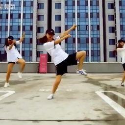 舞蹈集训成人免费视频,轻松入门,舞动人生