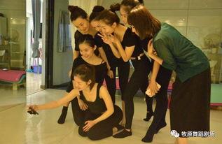 舞蹈集训成人免费视频,轻松入门,舞动人生