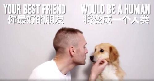 狗变成人后的视频,一场跨越物种的奇幻之旅