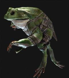 蝌蚪在线成人教育视频,蝌蚪在线视频课程深度解析