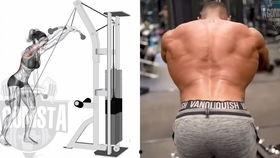 成人胳膊训练视频教程,跟随视频教程高效塑形