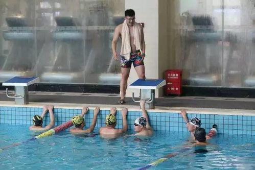 成人游泳女老师视频,揭秘成人游泳女老师的教学风采