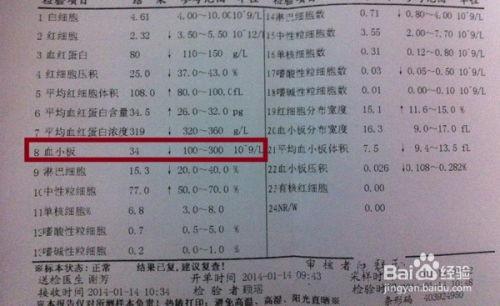 成人验血视频讲解教程全集,全面解析血液检测奥秘