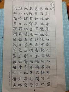 成人小楷练字直播视频,轻松掌握成人小楷练字技巧