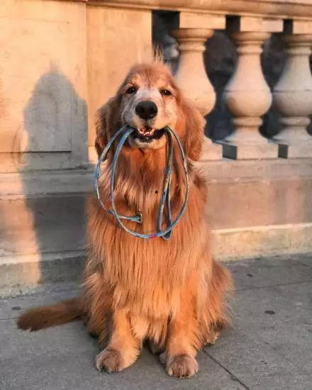 搜索狗成人帽子的视频,搜索狗视频带你领略潮流风采